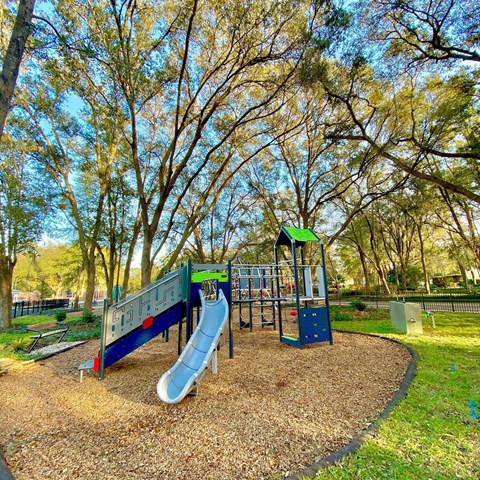 Playground/Tree Grove